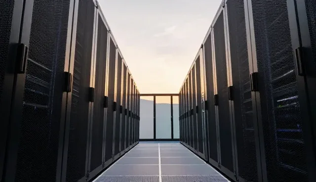 提升厂区绿化植物成活率的实用养护策略