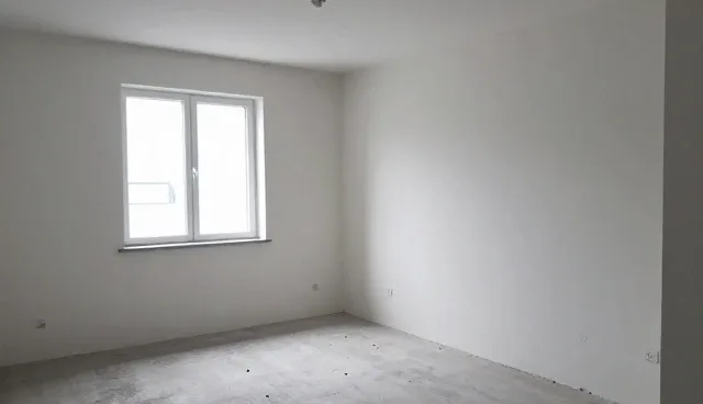 城市绿化工程中苗木养护的关键场景分析